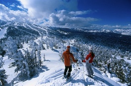 Xlarge_thumb_tahoe