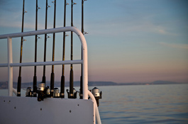 Xlarge_thumb_deep_sea_fishing_-_rods_in_row